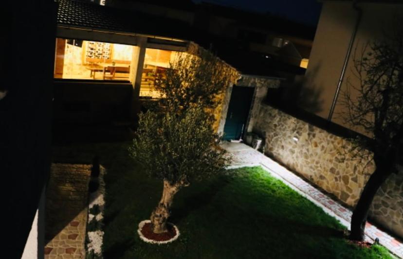 Iva Apartman Sa Bazenom Donji Zemunik Extérieur photo
