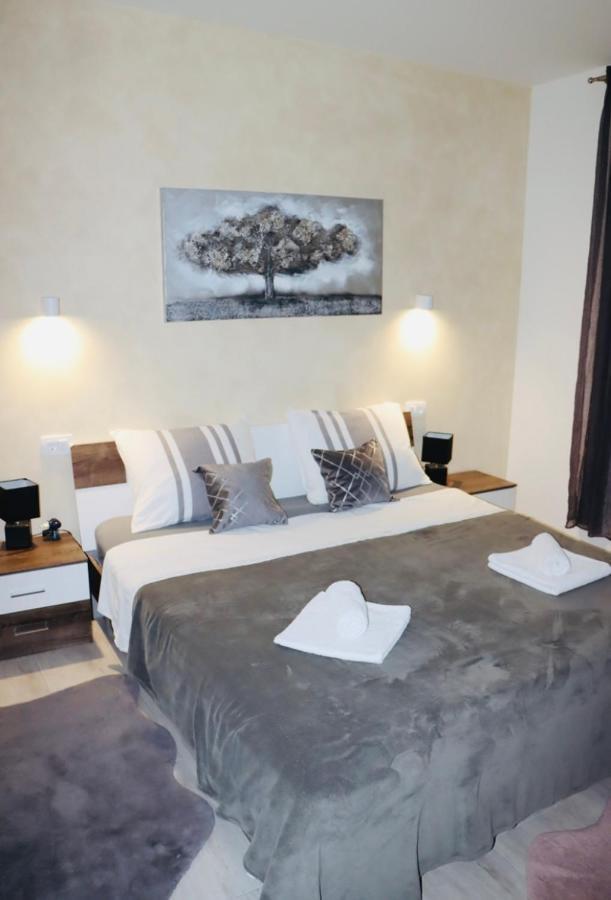 Iva Apartman Sa Bazenom Donji Zemunik Extérieur photo